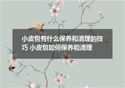 小皮包有什么保养和清理的技巧 小皮包如何保养和清理