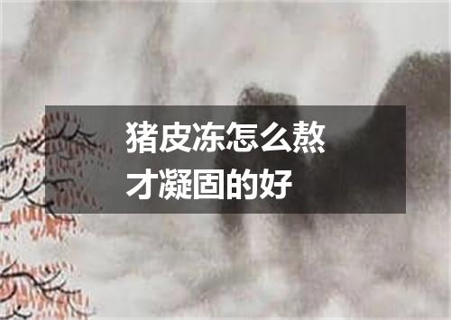 猪皮冻怎么熬才凝固的好