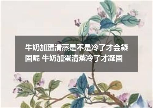 牛奶加蛋清蒸是不是冷了才会凝固呢 牛奶加蛋清蒸冷了才凝固