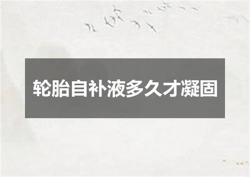 轮胎自补液多久才凝固