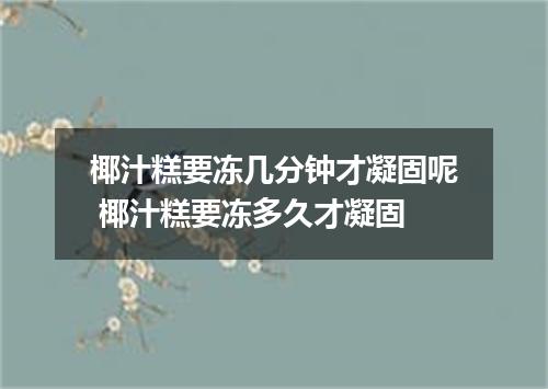 椰汁糕要冻几分钟才凝固呢 椰汁糕要冻多久才凝固