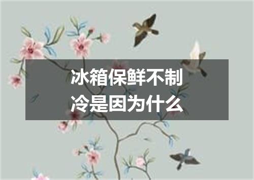 冰箱保鲜不制冷是因为什么
