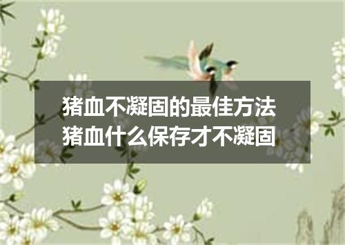 猪血不凝固的最佳方法 猪血什么保存才不凝固