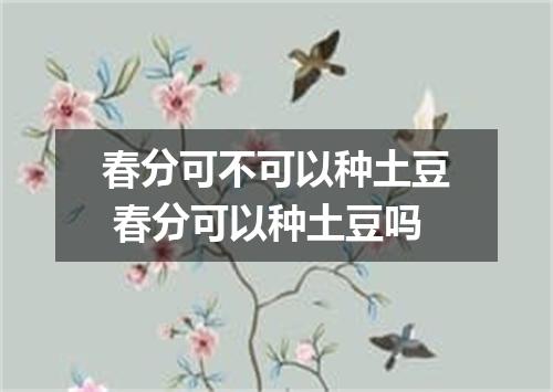 春分可不可以种土豆 春分可以种土豆吗