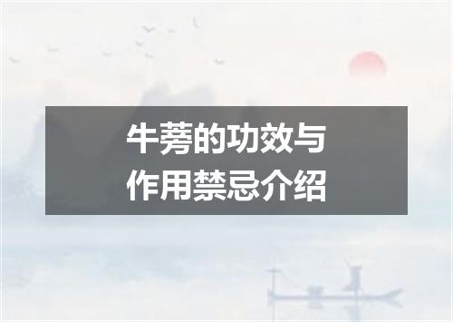 牛蒡的功效与作用禁忌介绍