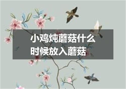 小鸡炖蘑菇什么时候放入蘑菇