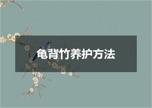 龟背竹养护方法