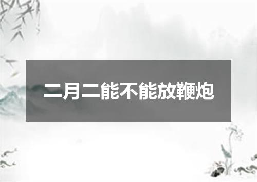 二月二能不能放鞭炮