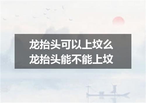 龙抬头可以上坟么 龙抬头能不能上坟
