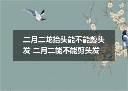 二月二龙抬头能不能剪头发 二月二能不能剪头发