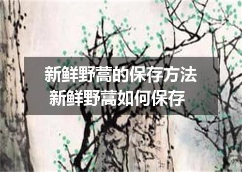 新鲜野蒿的保存方法 新鲜野蒿如何保存