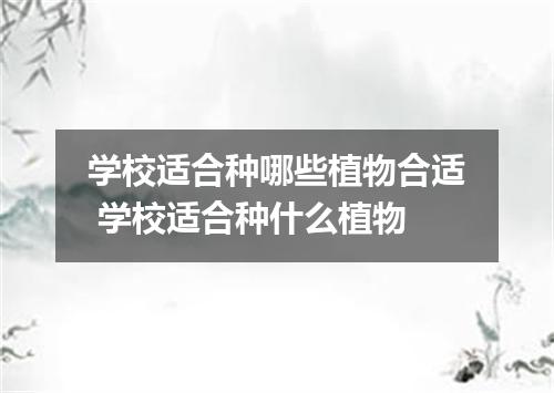 学校适合种哪些植物合适 学校适合种什么植物