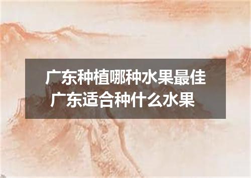 广东种植哪种水果最佳 广东适合种什么水果