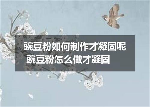 豌豆粉如何制作才凝固呢 豌豆粉怎么做才凝固