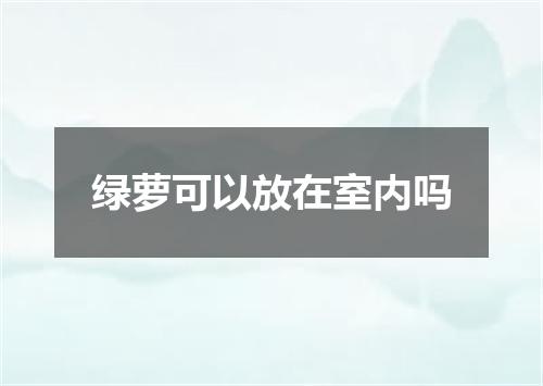 绿萝可以放在室内吗