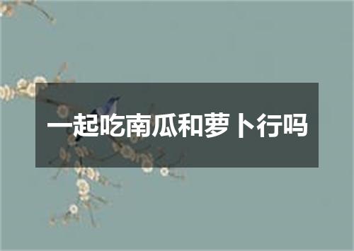 一起吃南瓜和萝卜行吗