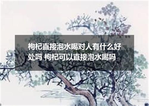 枸杞直接泡水喝对人有什么好处吗 枸杞可以直接泡水喝吗