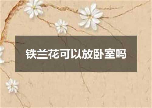 铁兰花可以放卧室吗