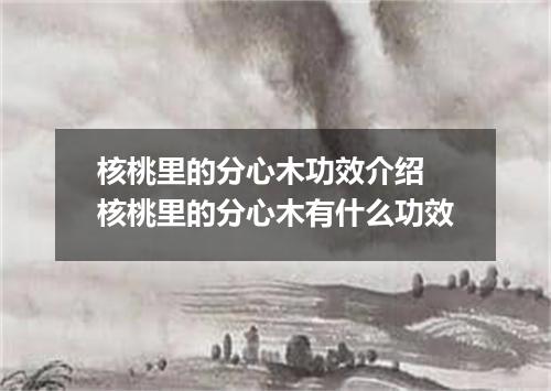 核桃里的分心木功效介绍 核桃里的分心木有什么功效