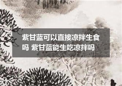 紫甘蓝可以直接凉拌生食吗 紫甘蓝能生吃凉拌吗