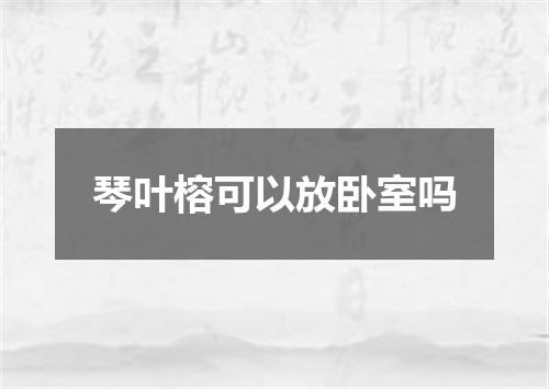 琴叶榕可以放卧室吗