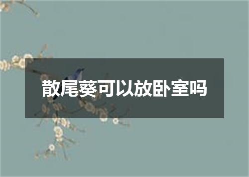散尾葵可以放卧室吗