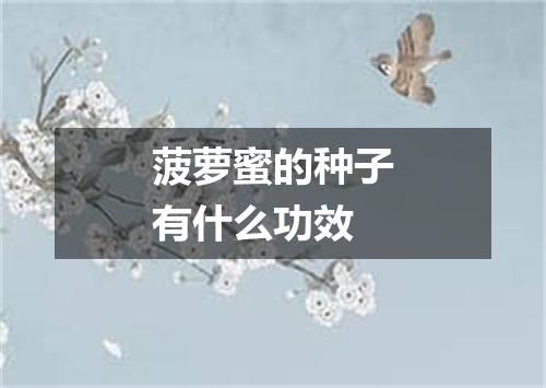 菠萝蜜的种子有什么功效