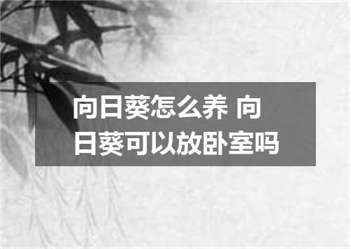 向日葵怎么养 向日葵可以放卧室吗