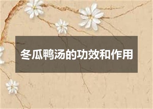 冬瓜鸭汤的功效和作用