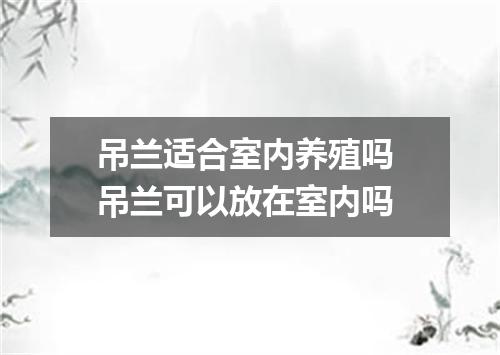 吊兰适合室内养殖吗 吊兰可以放在室内吗