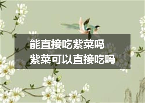 能直接吃紫菜吗 紫菜可以直接吃吗