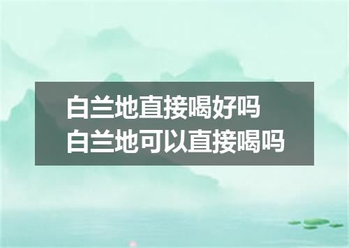 白兰地直接喝好吗 白兰地可以直接喝吗