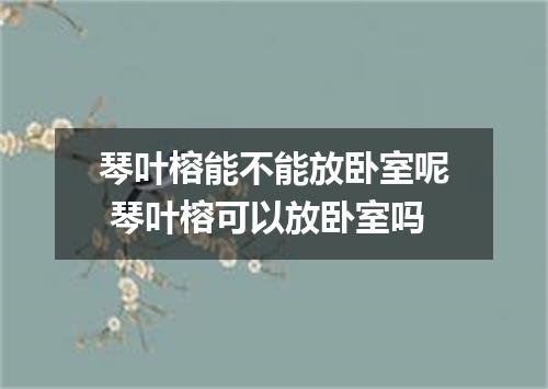 琴叶榕能不能放卧室呢 琴叶榕可以放卧室吗