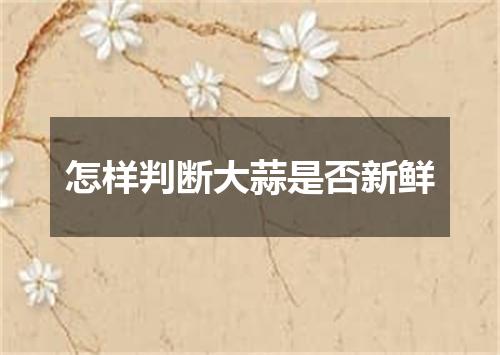 怎样判断大蒜是否新鲜