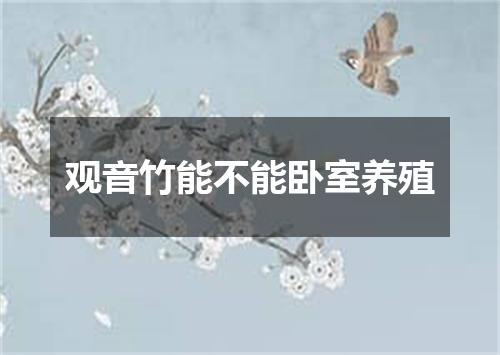 观音竹能不能卧室养殖