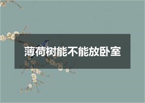 薄荷树能不能放卧室