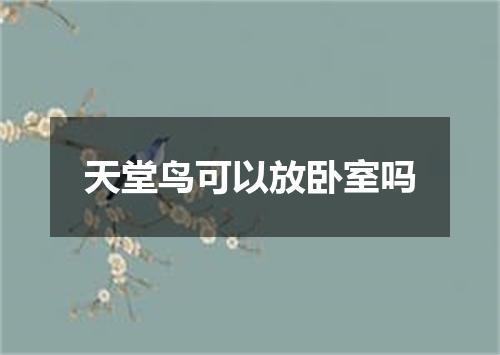 天堂鸟可以放卧室吗
