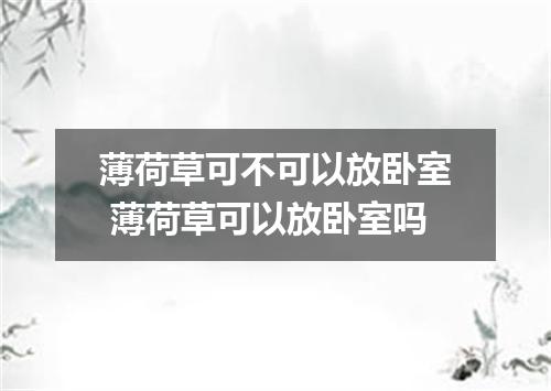 薄荷草可不可以放卧室 薄荷草可以放卧室吗