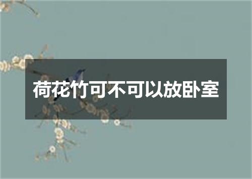 荷花竹可不可以放卧室