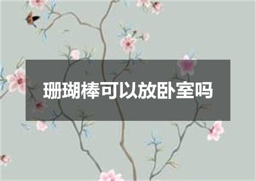珊瑚棒可以放卧室吗