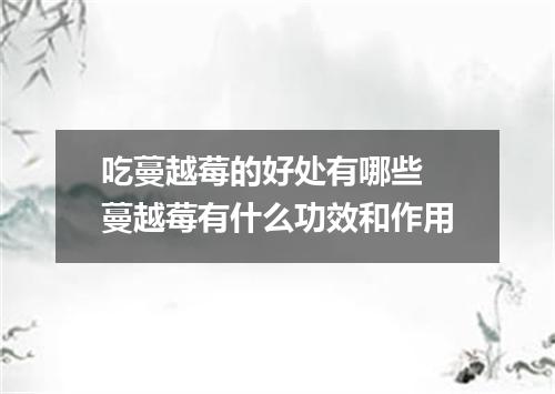 吃蔓越莓的好处有哪些 蔓越莓有什么功效和作用