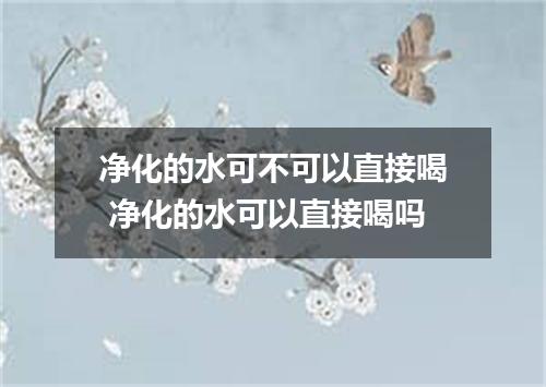 净化的水可不可以直接喝 净化的水可以直接喝吗