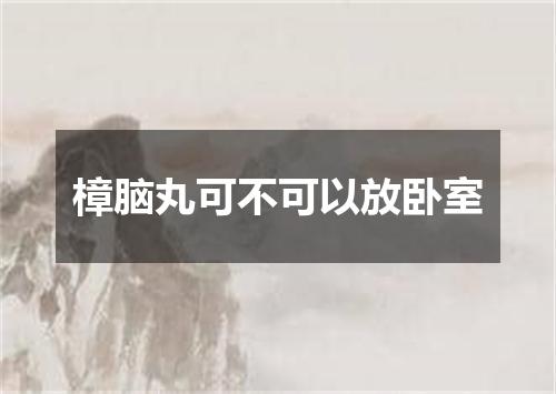 樟脑丸可不可以放卧室