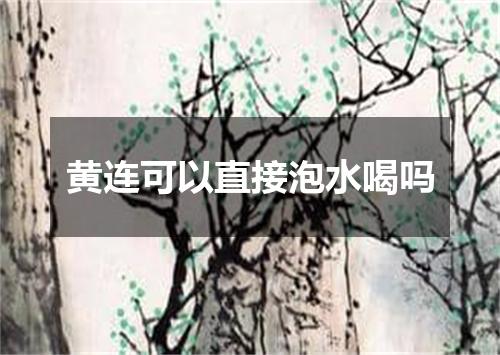 黄连可以直接泡水喝吗