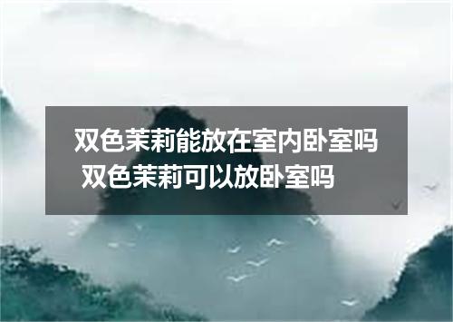 双色茉莉能放在室内卧室吗 双色茉莉可以放卧室吗