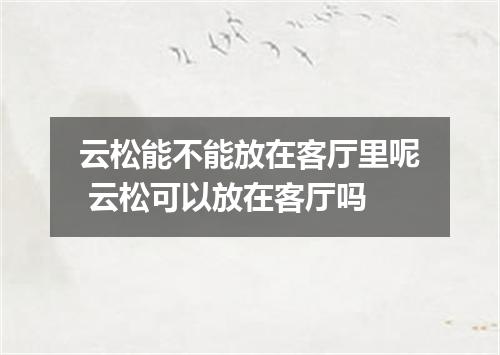 云松能不能放在客厅里呢 云松可以放在客厅吗
