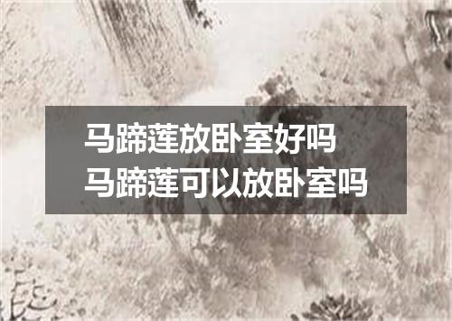 马蹄莲放卧室好吗 马蹄莲可以放卧室吗