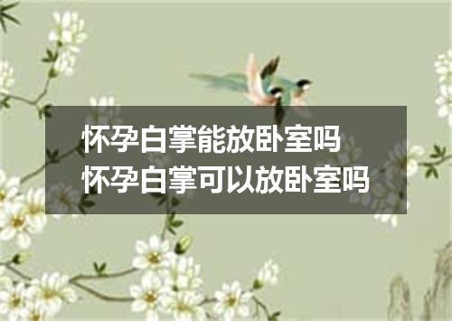 怀孕白掌能放卧室吗 怀孕白掌可以放卧室吗
