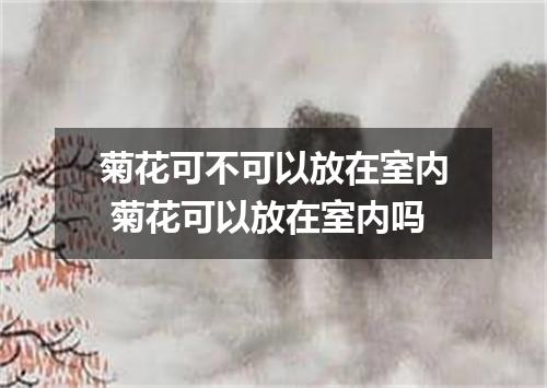 菊花可不可以放在室内 菊花可以放在室内吗