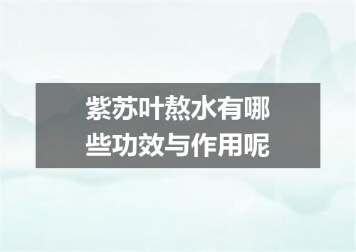 紫苏叶熬水有哪些功效与作用呢